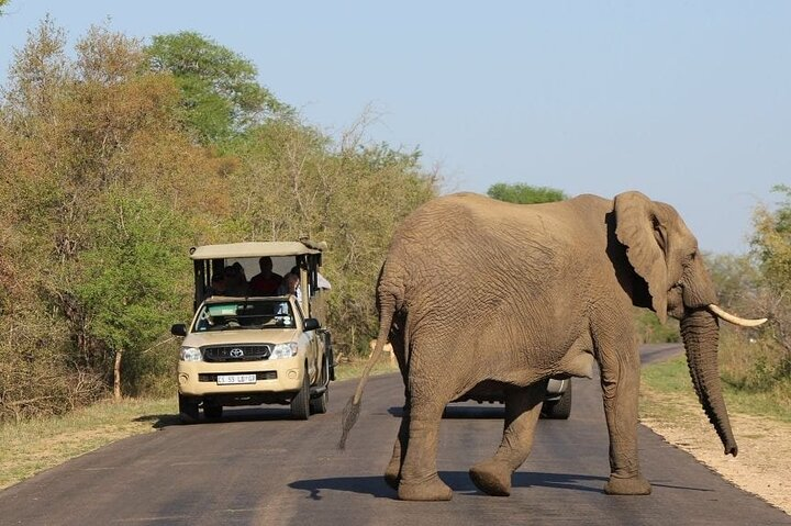 2-Days Kruger Park Safari & Panorama Route Tour from Hazyview - Photo 1 of 25